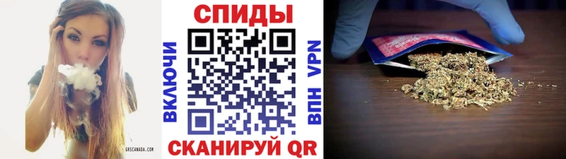 Купить где  Заволжск  БУТИРАТ 1.4BDO 