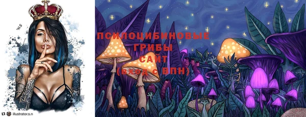 ешки Заводоуковск